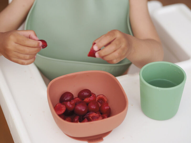 Silicone Bib - Sage Green