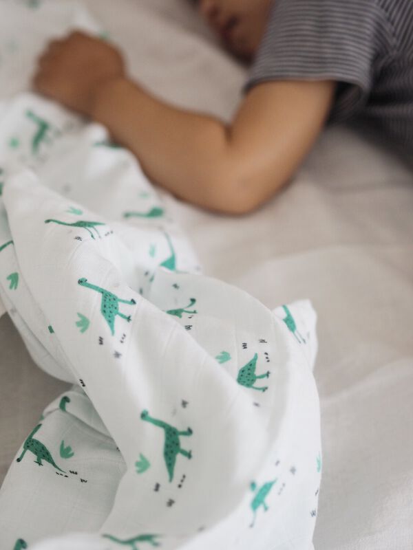 Set of 3 Cotton Muslin Swaddle Blankets jurassic