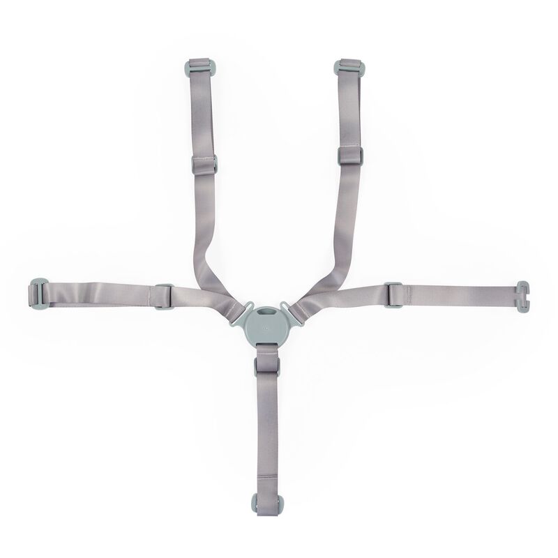 5-point harness Evolu/Evosit mint