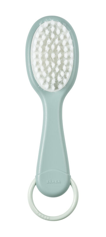 Comb and brush green blue 3