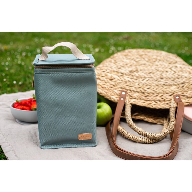 Insulated lunch pouch frosty green