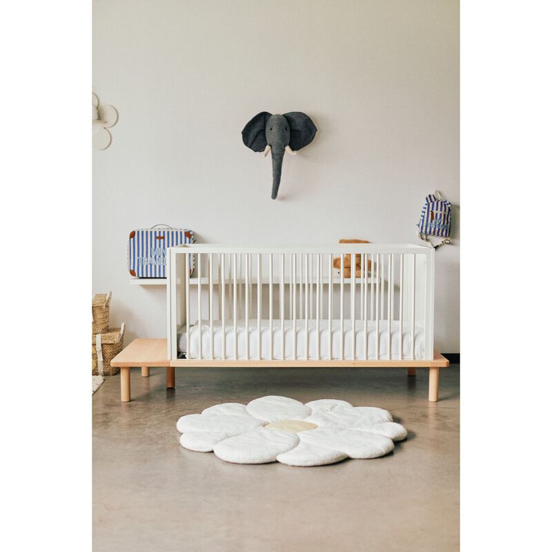 Dierenkop Olifant - Vilt - Muurdecoratie