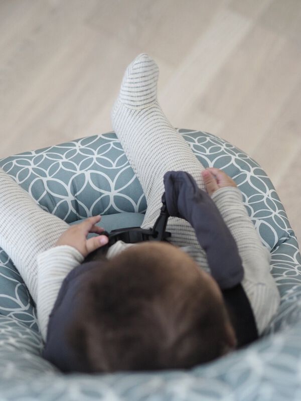 Up and Down Baby Bouncer IV leaves