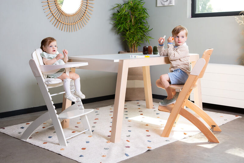 Evosit Seggiolone - Legno e Beige 