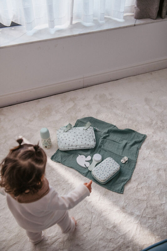 Set brosse et peigne Birdies