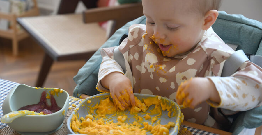 la carotte incontournable pour débuter la diversification alimentaire