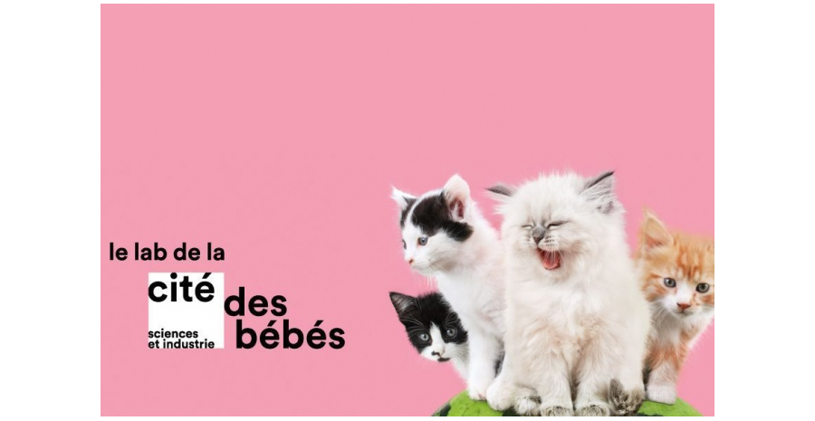le lab de la cité des bébés