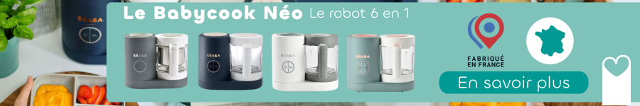 discover the babycook neo made in france